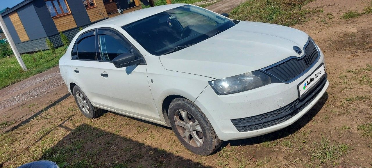 Skoda Rapid: фото владельца