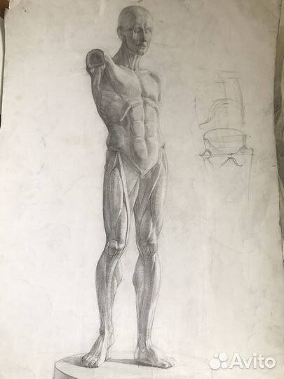 Репетитор по рисованию