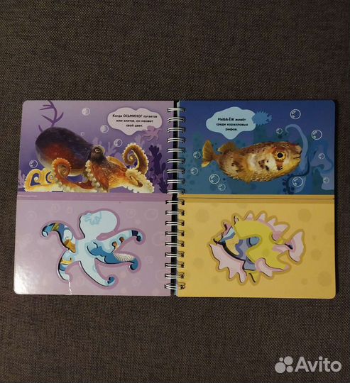 Книга Я рисую море