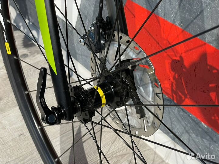 Endurance Bulls Harrier 2 Disc full Ultegra 2х11