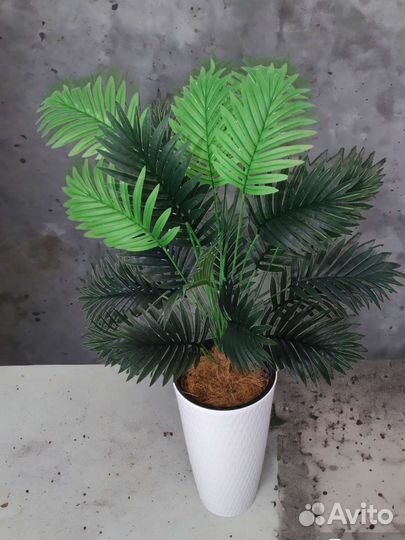 Искусственная пальма