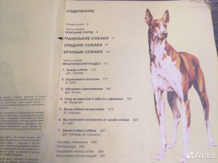 Ваша собака