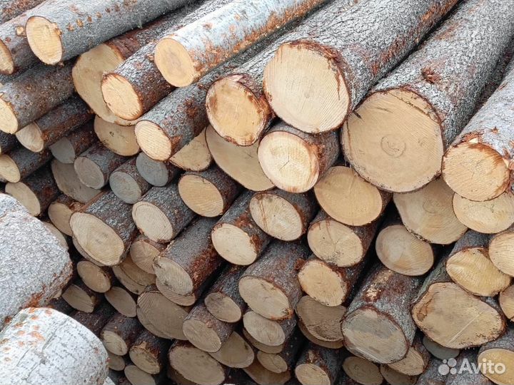 Лес кругляк пиловочник