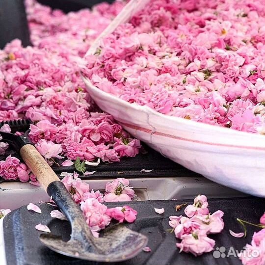 Amouage «Blossom Love», 100 ml