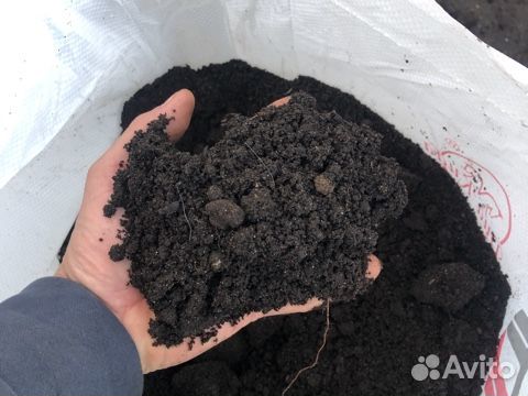 Перегной прелый коровий, Навоз