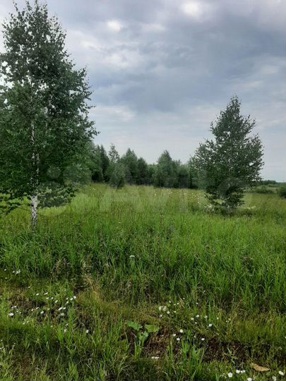 Участок 5 га (СНТ, ДНП)