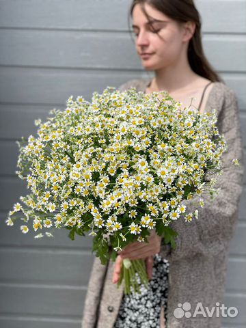 Ромашки, полевой букет, цветы