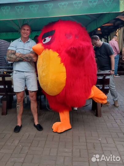 Аниматор ростовая кукла Гарик