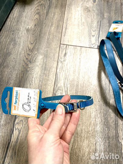 Ошейник и поводок для собак обмен