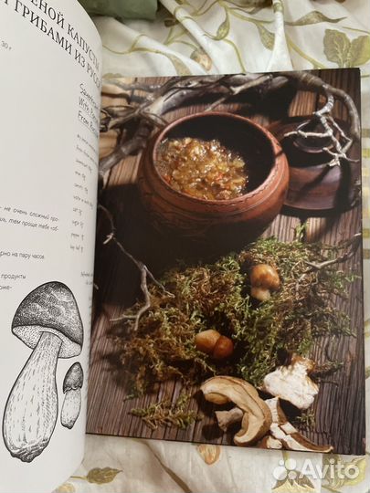 Дикая кухня