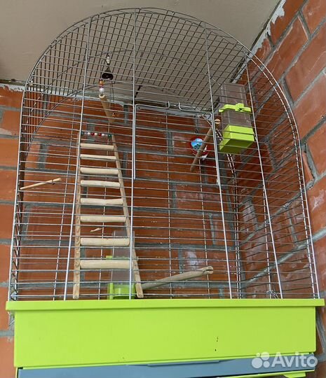 Клетка для попугая
