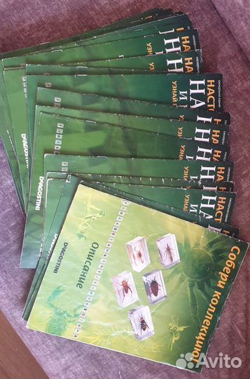 Настоящие насекомые и их знакомые