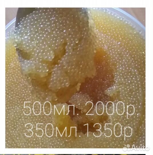 Икра щёкура