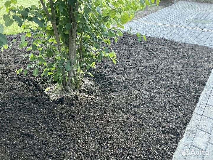 Плодородная земля - просеянный грунт от 5 m3