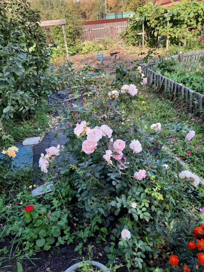 Дача 30 м² на участке 7,5 сот.