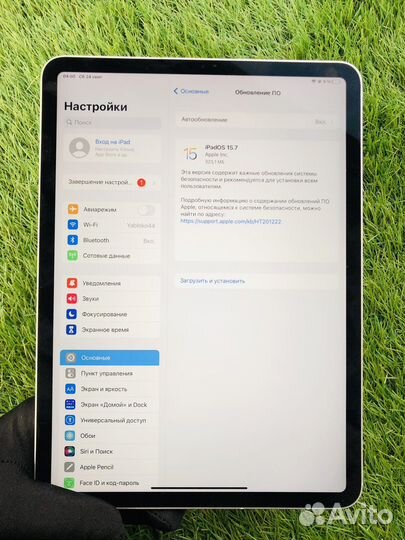 iPad pro 11 Wi-Fi + Cellular 256gb