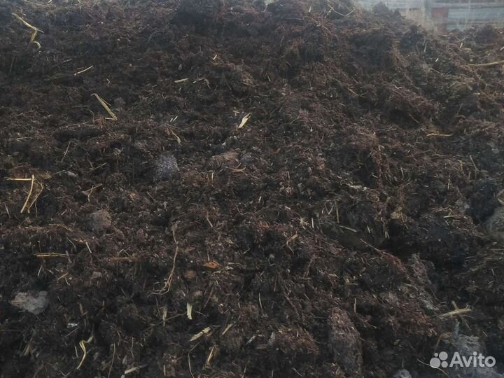 Перегной навоз