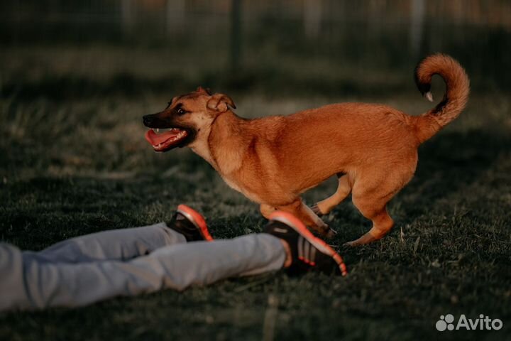Зажигалочка Джуди