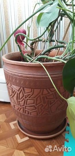 Горшок для цветов керамика большой