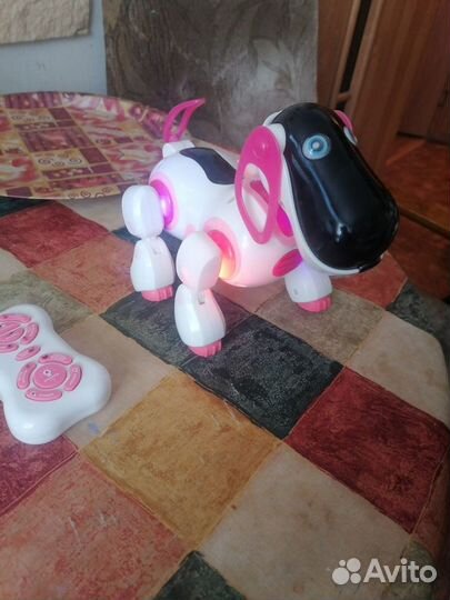 Робот-собака «Киберпёс Ки-Ки»