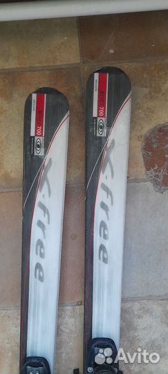 Горные лыжи