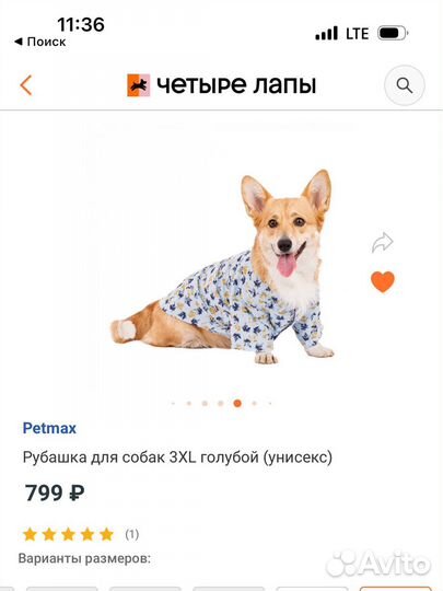 Одежда для собак