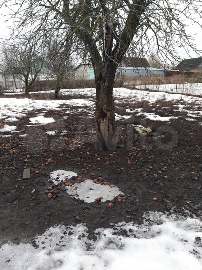 Дача 34 м² на участке 6 сот.