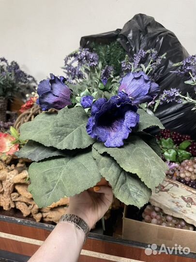 Декоративные цветы