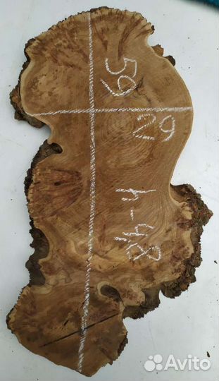 Спилы карагача сухие