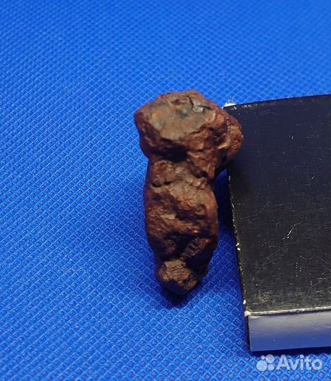 Метеорит Царев, хондрит L5 коллекционный