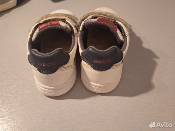 Кеды geox 22