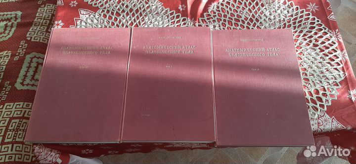 Атлас анатомический