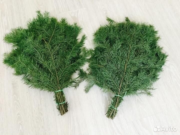 Пихтовый Лапник