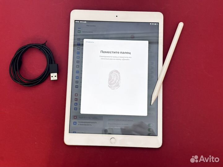 iPad 10.2 + Стилус + Procreate