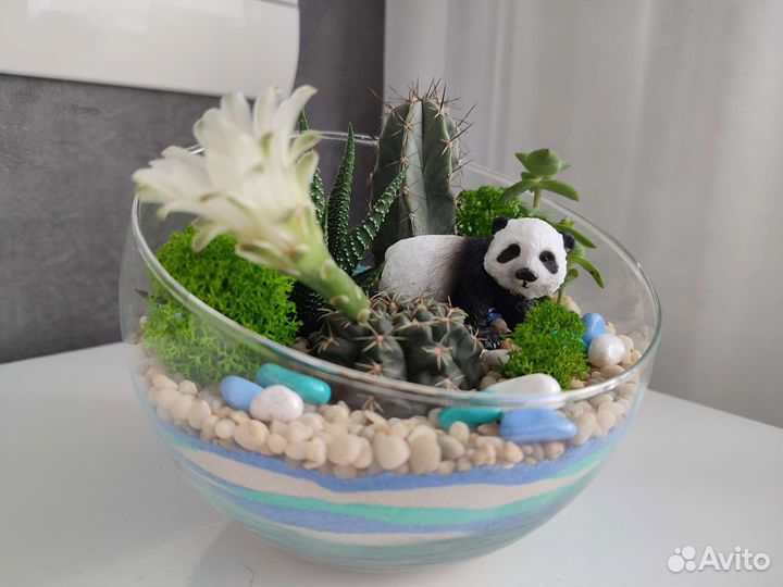 Флорариум для детей