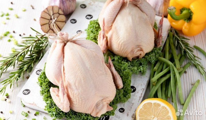 Куры бройлеры тушки мясо