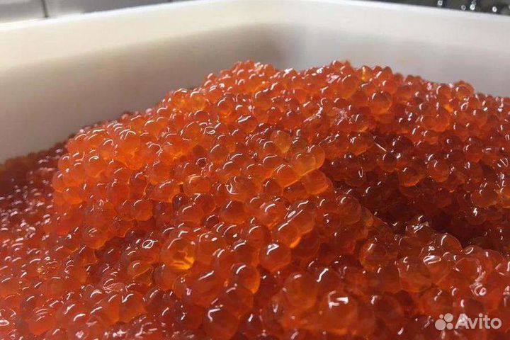 Икра лососевая оптом и в розницу