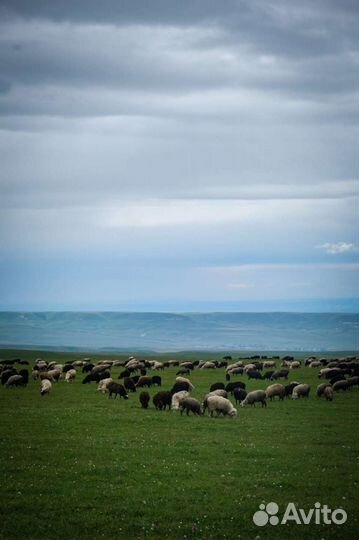 Поездки на плато Бермамыт Закаты и Рассветы