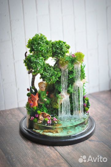 Флорариум Моссариум 