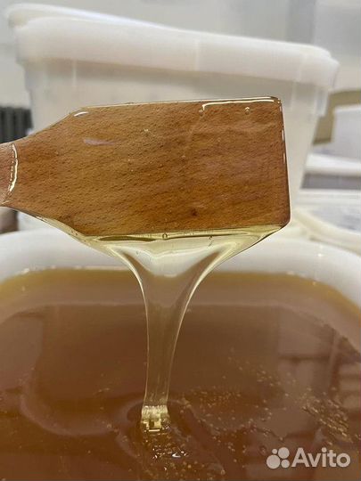 Липовый свежий мед опт