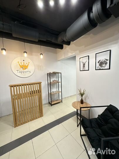 Аренда рабочего места для грумера, груминг кабинет