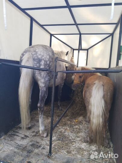 Бюджетная перевозка лошадей крс, мрс и снегоходов