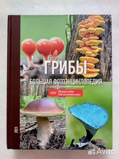 Книги о грибах. Квиллинг. Цветы