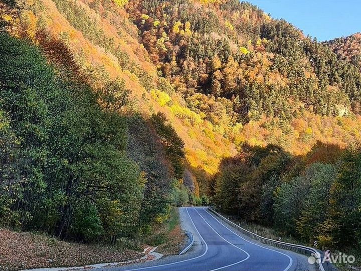 Экскурсия — Кисловодск — Архыз и наследие гор: пут