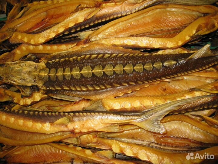 Рыба царская