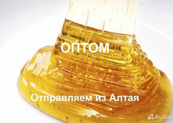 Мёд 24 года из Алтая опт