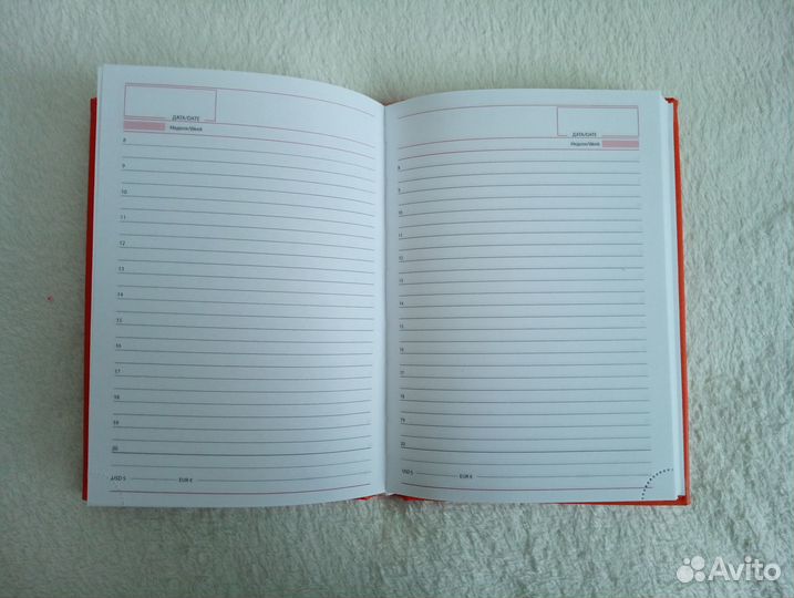 Ежедневник не датированный на 2025 год