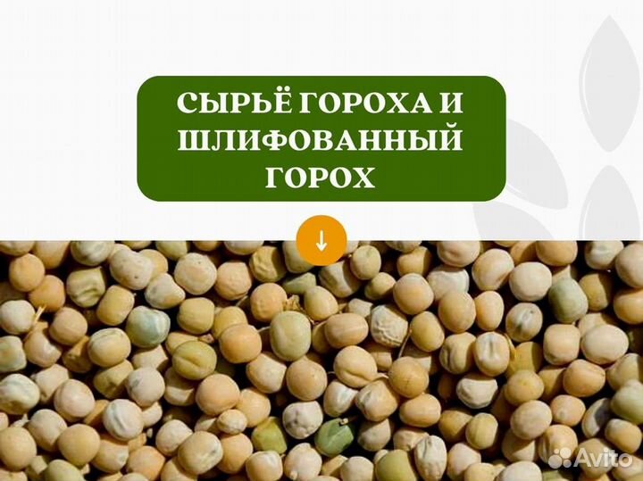 Горох с поля (сырье) (кг)