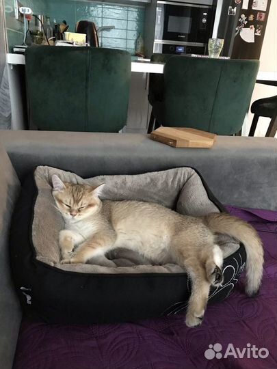 Лежак для кошки Rogz