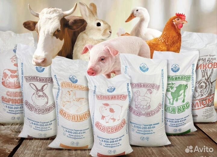 Комбикорма Курские